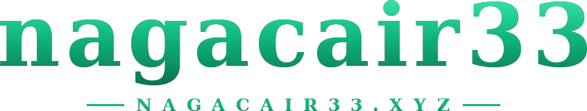 nagacair33 logo